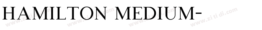 Hamilton Medium字体转换